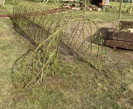 Forge wood outdoor classroom 3