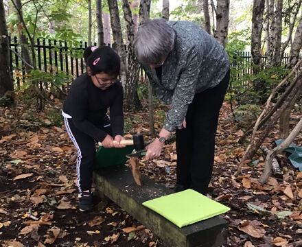 Pr forest school 3